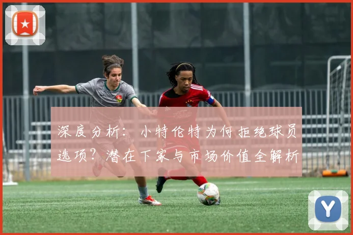 深度分析：小特伦特为何拒绝球员选项？潜在下家与市场价值全解析